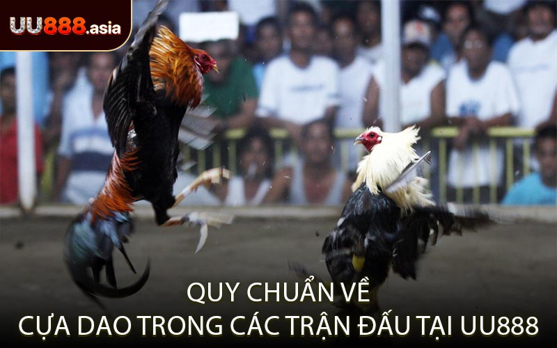Quy Chuẩn Về Cựa Dao Trong Các Trận Đấu Tại UU888