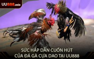 Sức Hấp Dẫn Cuốn Hút Của Đá Gà Cựa Dao Tại UU888