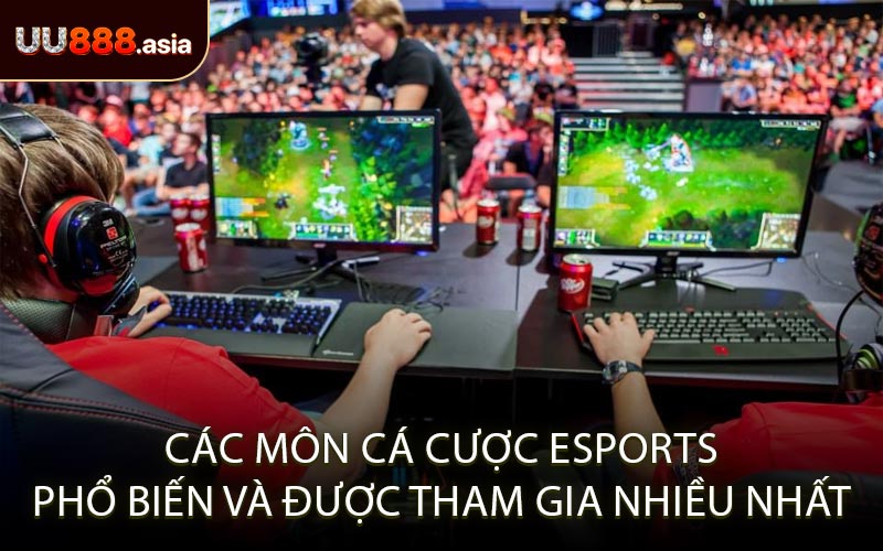 Các Môn Cá Cược Esports Phổ Biến Và Được Tham Gia Nhiều Nhất