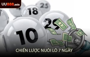 Chiến Lược Nuôi Lô 7 Ngày