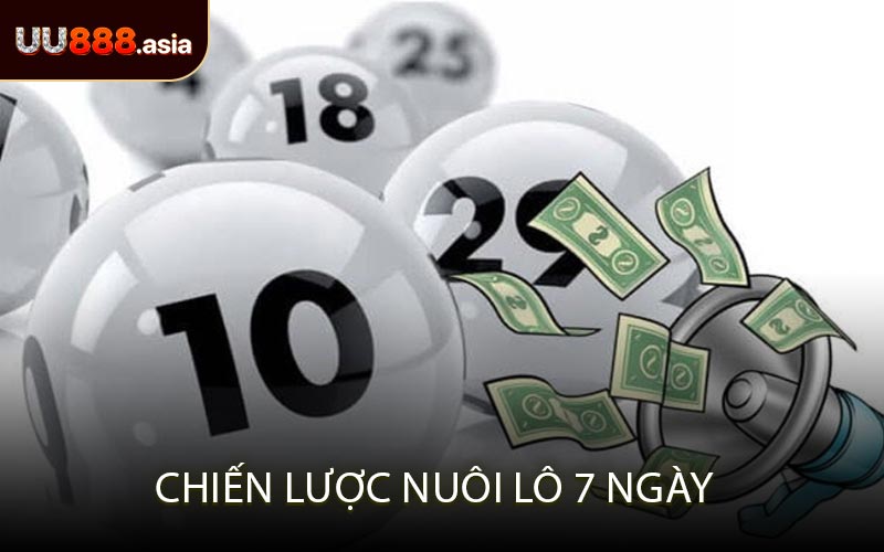 Chiến Lược Nuôi Lô 7 Ngày