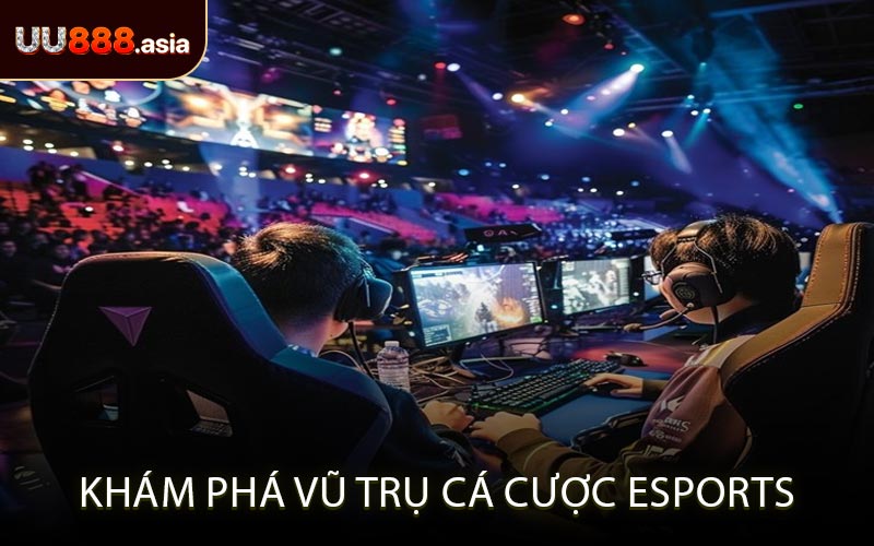Khám Phá Vũ Trụ Cá Cược Esports