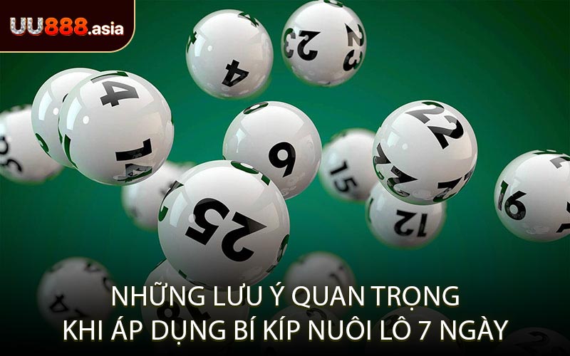 Những Lưu Ý Quan Trọng Khi Áp Dụng Bí Kíp Nuôi Lô 7 Ngày