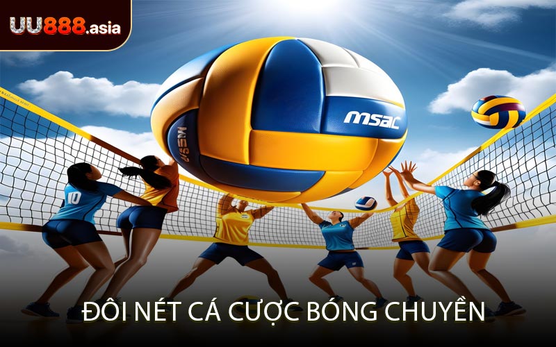 Đôi Nét Cá Cược Bóng Chuyền