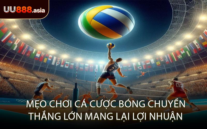 Mẹo Chơi Cá Cược Bóng Chuyền Thắng Lớn Mang Lại Lợi Nhuận