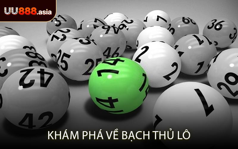 Khám Phá Về Bạch Thủ Lô
