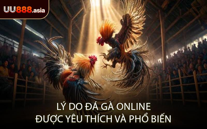 Lý Do Đá Gà Online Được Yêu Thích Và Phổ Biến