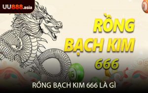 Rồng Bạch Kim 666 Là Gì