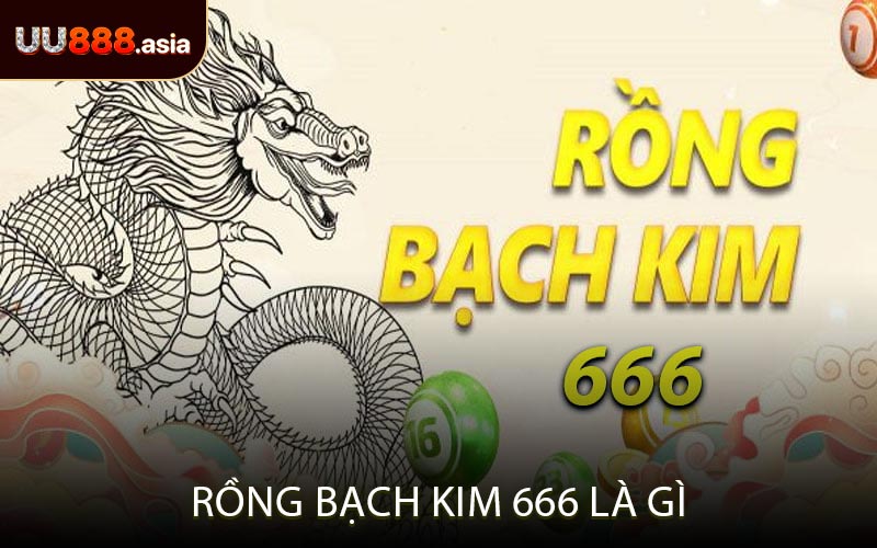 Rồng Bạch Kim 666 Là Gì